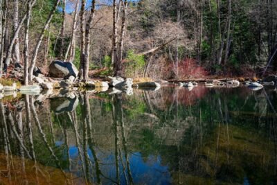 Deer Creek Tribute Trail Guided Hike