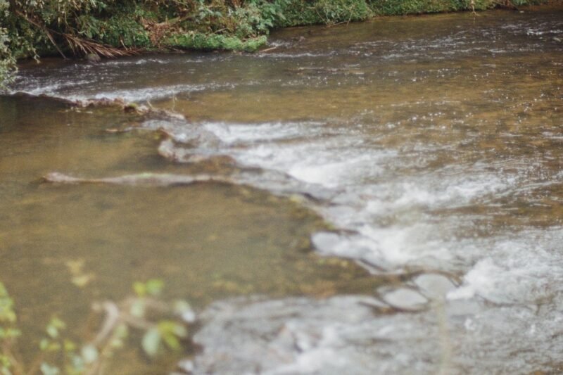 Gold Panning Lesson