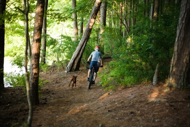Guided Bike Trail Ride