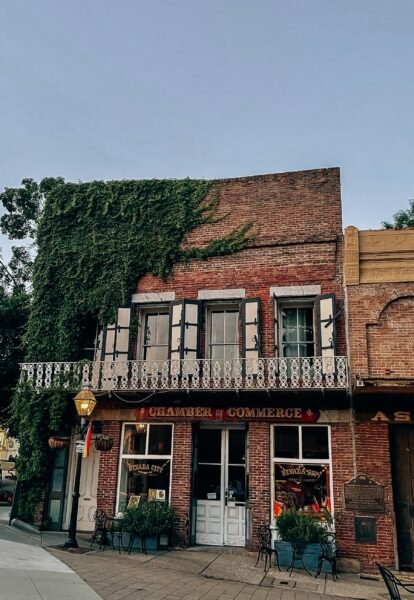 Nevada City Wine Walk
