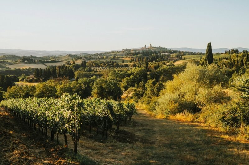 Nevada City Wine Walk