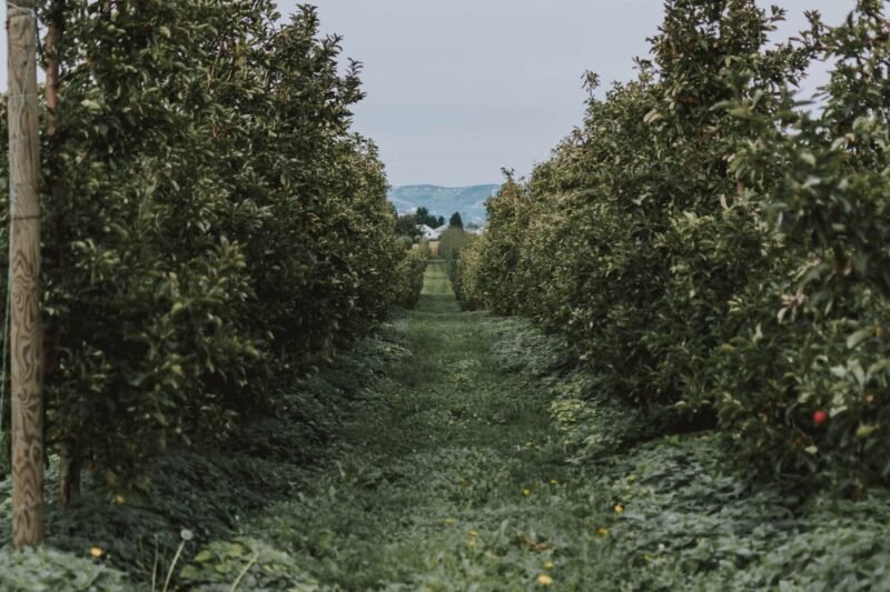 Nevada County Farm Tour by Van