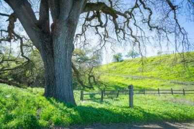 Nevada County Farm Tour by Van