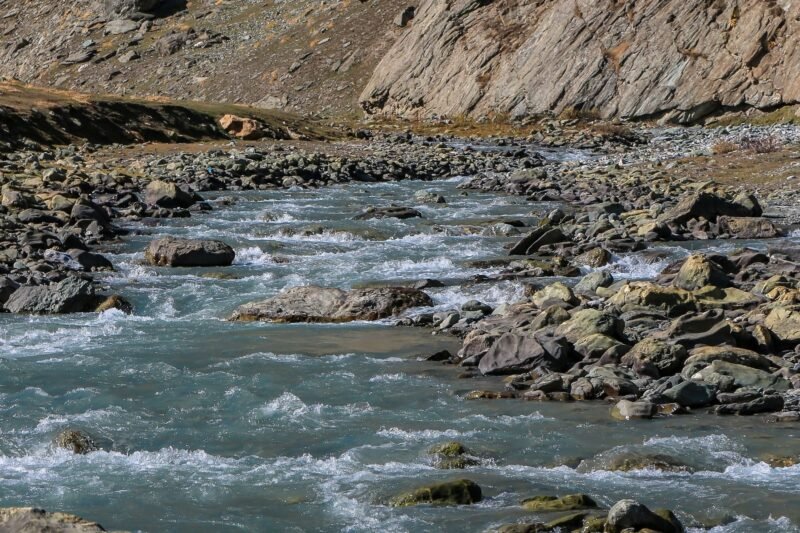 River Hike and Native Plant Walk
