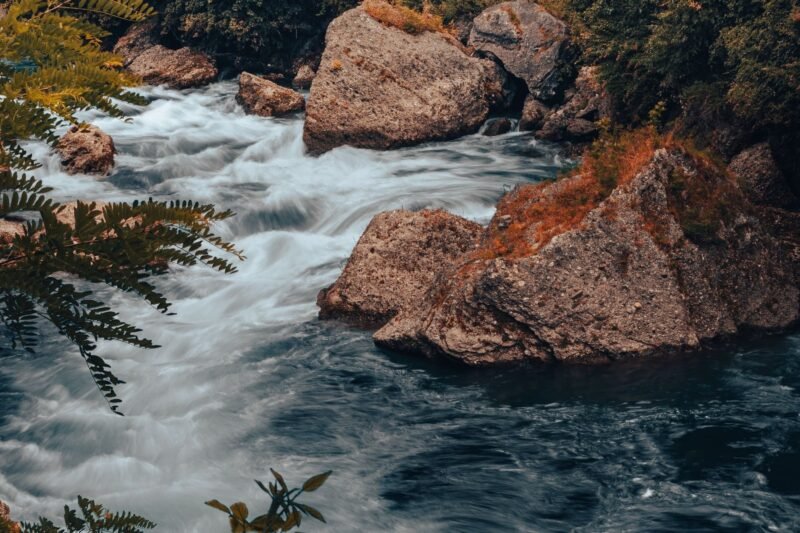 River Hike and Native Plant Walk
