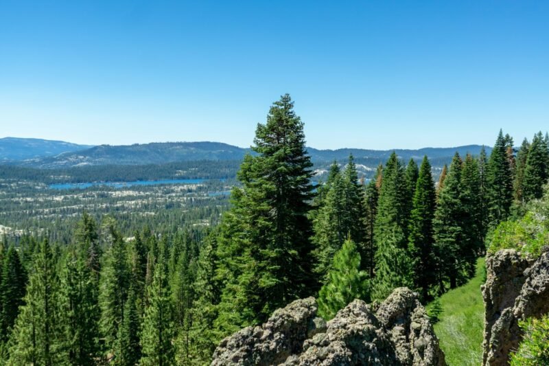 Sierra Drone Flight Lesson
