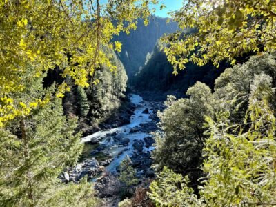 River Hike and Native Plant Walk
