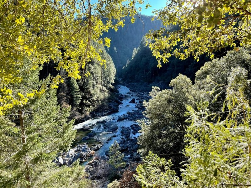 River Hike and Native Plant Walk